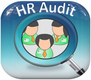 ممیز منابع انسانی HR Auditor