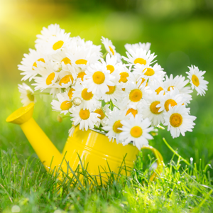 شکل دهی منابع انسانی